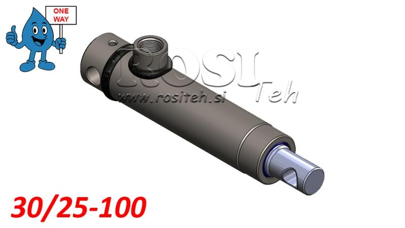 HYDRAULISK CYLINDER MONO 30/25-100