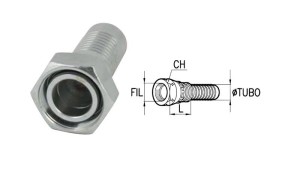 FEMININE-DKOS-FORBINDELSER